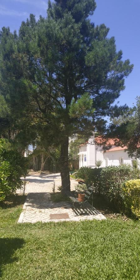 Casa De Arcos Guest House Anadia Bagian luar foto