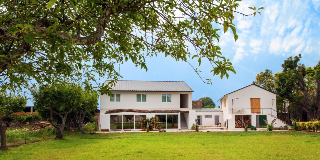 Casa De Arcos Guest House Anadia Bagian luar foto