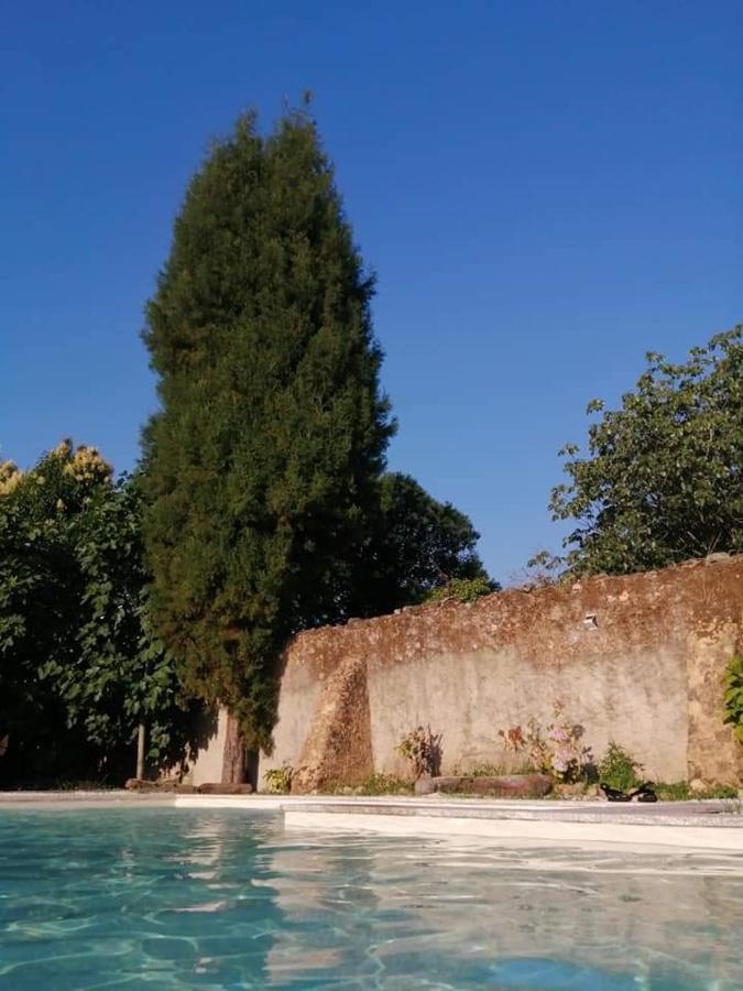Casa De Arcos Guest House Anadia Bagian luar foto