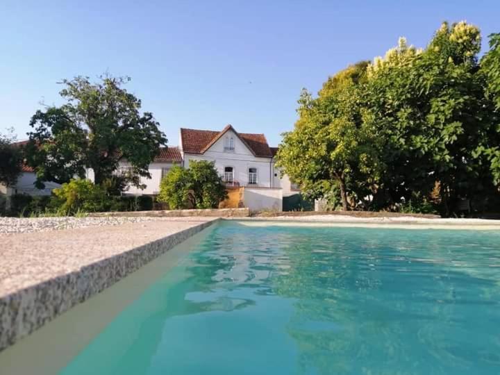 Casa De Arcos Guest House Anadia Bagian luar foto