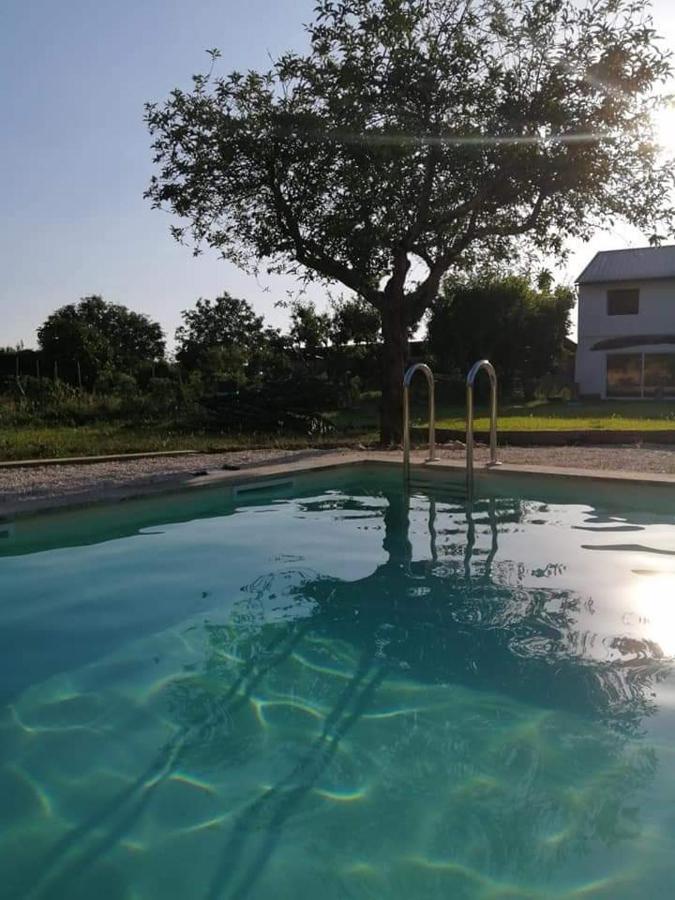 Casa De Arcos Guest House Anadia Bagian luar foto